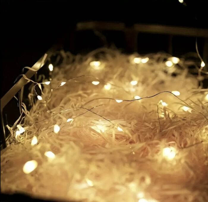 Instalație luminoasă LED pe sârmă