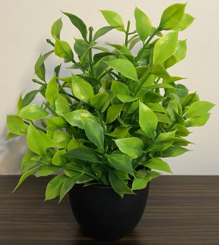 Plantă artificială decorativă cu frunze late