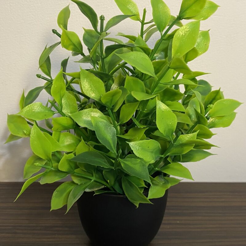 Plantă artificială decorativă cu frunze late