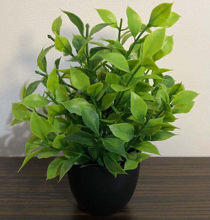 Plantă artificială decorativă cu frunze late - imagine 2