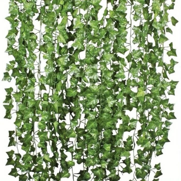 Ghirlandă cu frunze plantă Agățătoare - imagine 9
