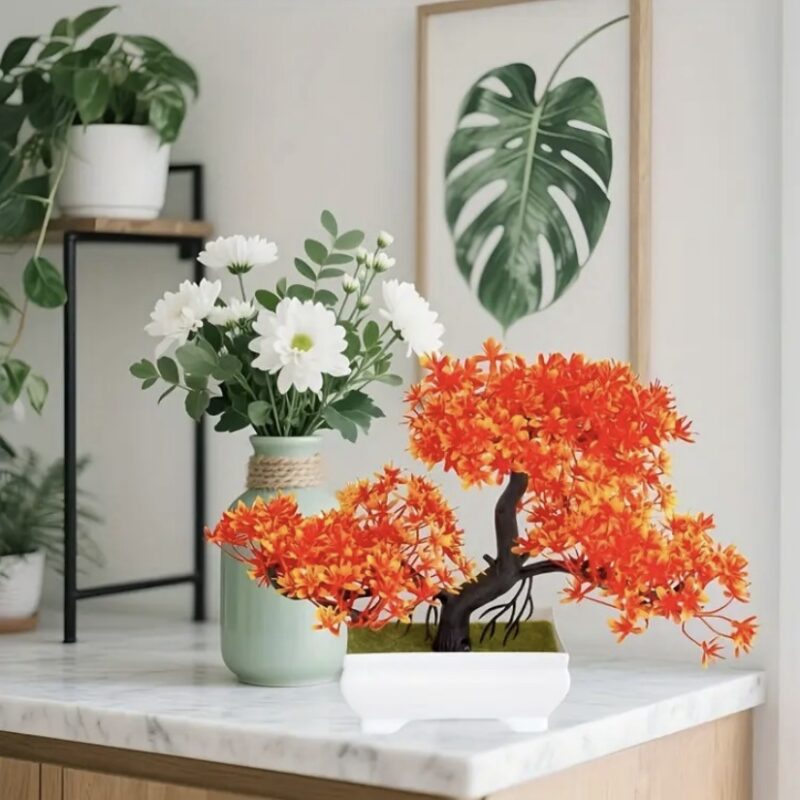 Bonsai Arțar Oranj