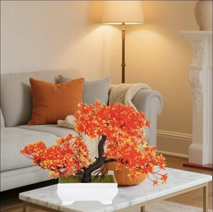 Bonsai Arțar Oranj - imagine 2